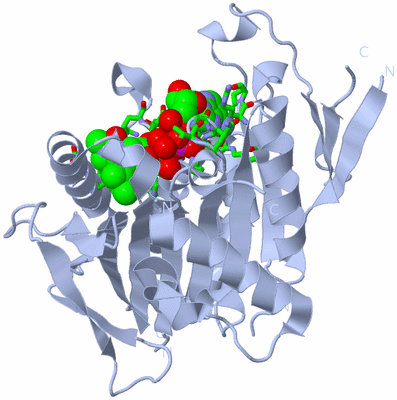 Image Biol. Unit 1 - sites