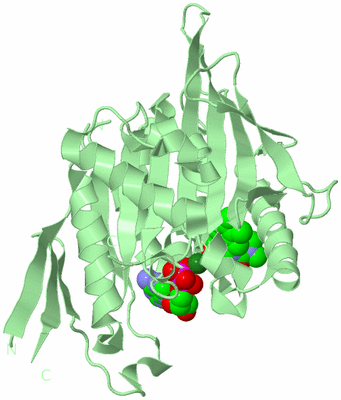 Image Biological Unit 2