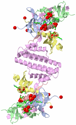 Image Biol. Unit 1 - sites