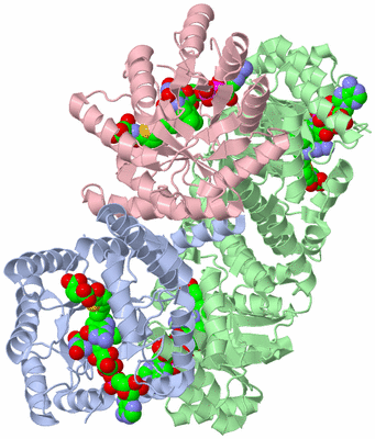 Image Biological Unit 1