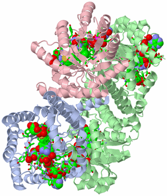 Image Biol. Unit 1 - sites