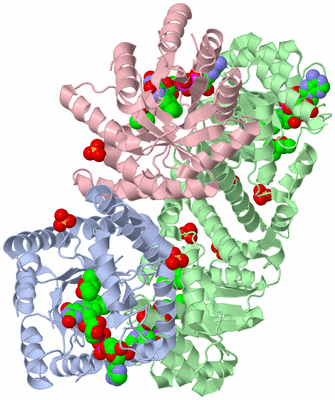 Image Biological Unit 1