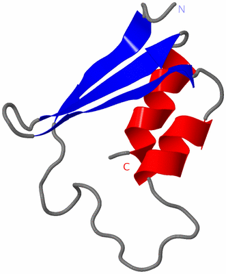 Image NMR Structure - model 1