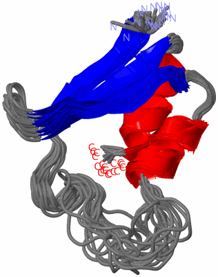 Image NMR Structure - all models