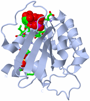 Image Biol. Unit 1 - sites