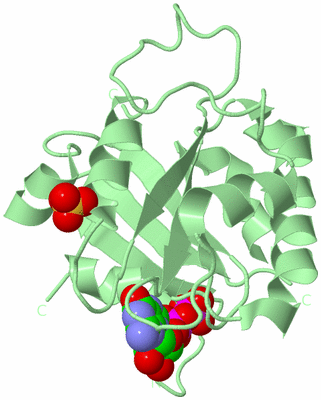 Image Biological Unit 2