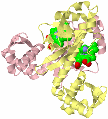 Image Biological Unit 2