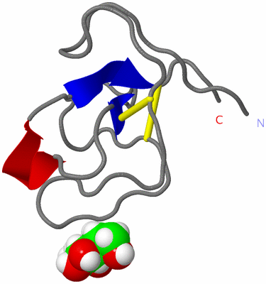 Image NMR Structure - model 1