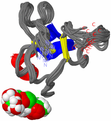 Image NMR Structure - all models