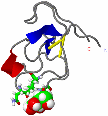 Image NMR Structure - model 1, sites