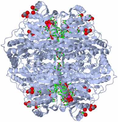 Image Biol. Unit 1 - sites