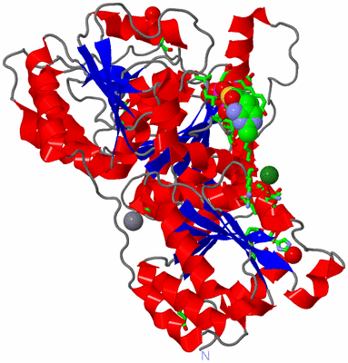 Image Asym. Unit - sites