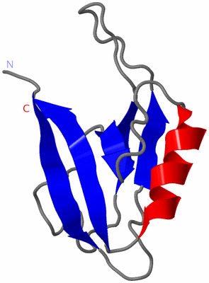 Image NMR Structure - model 1