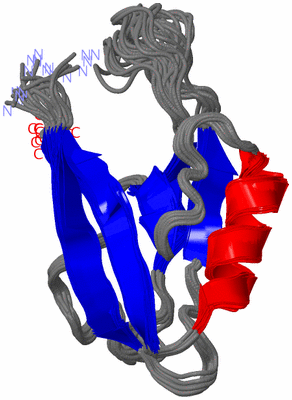 Image NMR Structure - all models