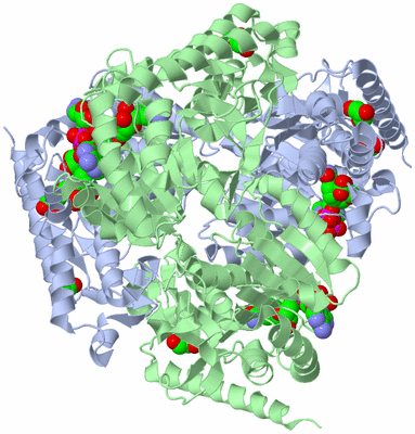 Image Biological Unit 2