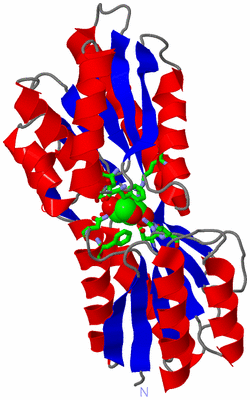 Image Asym./Biol. Unit - sites