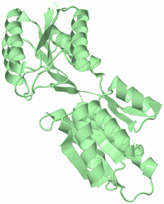 Image Biological Unit 2