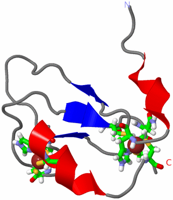 Image NMR Structure - model 1, sites