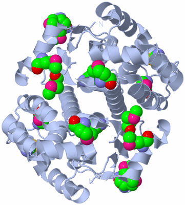 Image Biological Unit 1