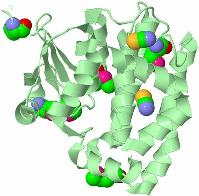 Image Biological Unit 2