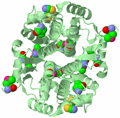 Image Biological Unit 3