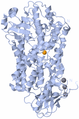 Image Biological Unit 1