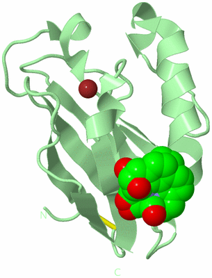 Image Biological Unit 2