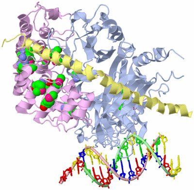 Image Asym./Biol. Unit