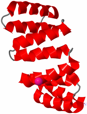 Image Asymmetric Unit