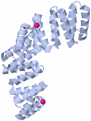 Image Biological Unit 1