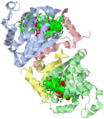 Image Biol. Unit 1 - sites