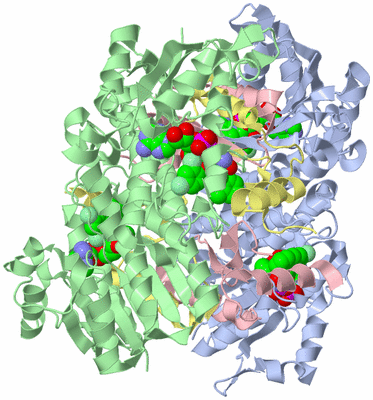 Image Biological Unit 2