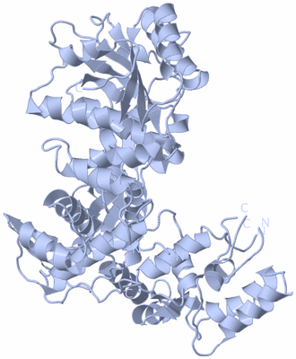 Image Biological Unit 1