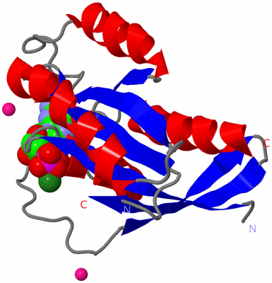 Image Asym./Biol. Unit