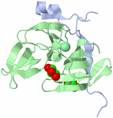 Image Biological Unit 1