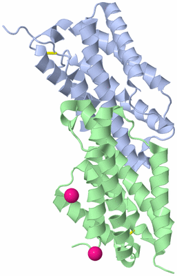 Image Asym./Biol. Unit