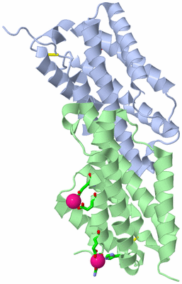 Image Asym./Biol. Unit - sites