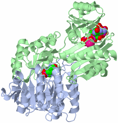 Image Asym./Biol. Unit