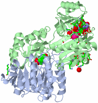 Image Asym./Biol. Unit - sites