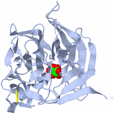 Image Biological Unit 1