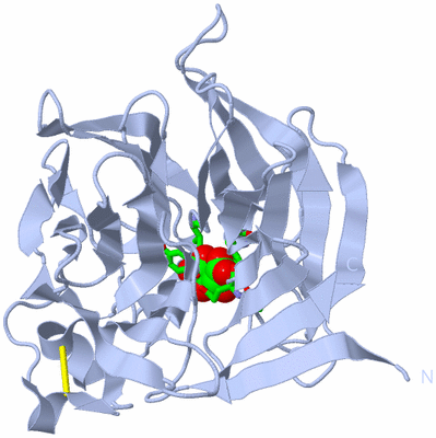 Image Biol. Unit 1 - sites