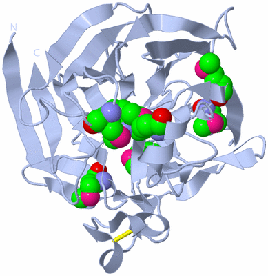 Image Biological Unit 1