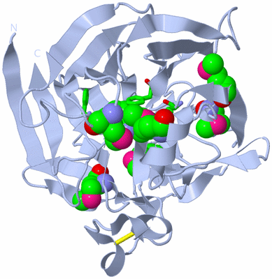 Image Biol. Unit 1 - sites