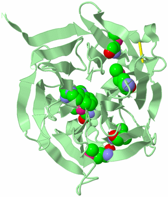 Image Biological Unit 2