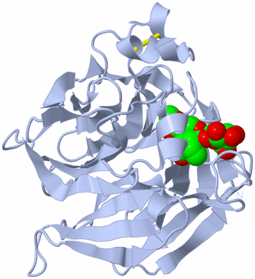 Image Biological Unit 1