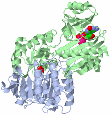 Image Asym./Biol. Unit