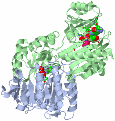 Image Asym./Biol. Unit - sites