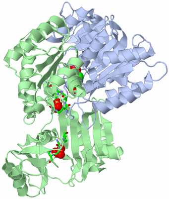 Image Asym./Biol. Unit - sites