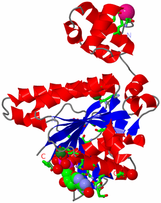 Image Asym./Biol. Unit - sites