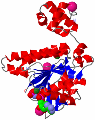 Image Asym./Biol. Unit